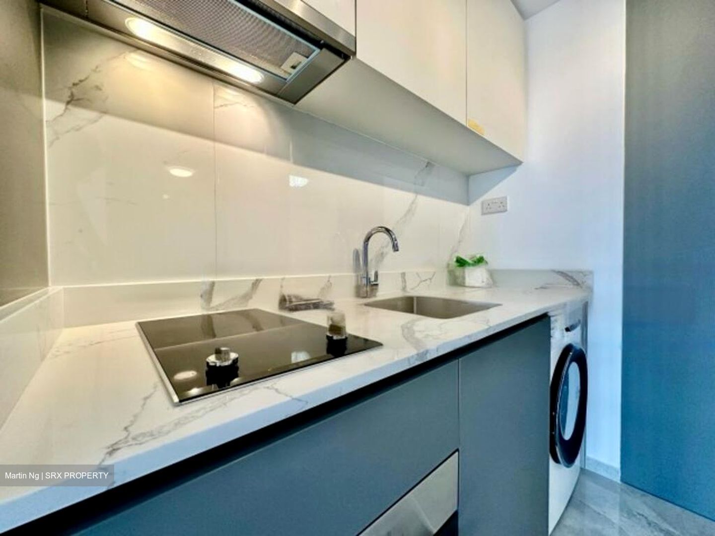 Affinity At Serangoon (D19), Apartment #470678881